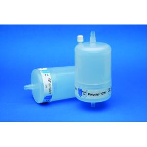 Whatman Polycap GW 囊式過濾器6714-6004